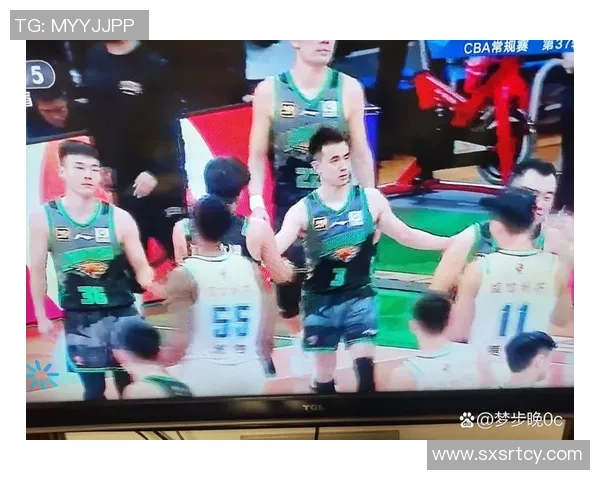 直播第37轮辽宁队对阵劲敌争夺季后赛名额的关键战役